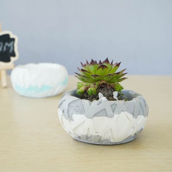 Concrete Ribbon Planter Concrete Ribbon Planter