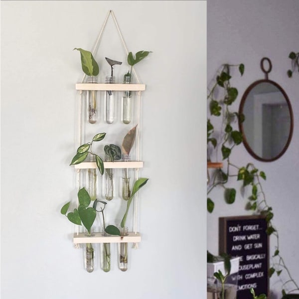Hanging Planter - Glass Tubes - Wooden - Single Piece Hanging Planter - Glass Tubes - Wooden - Single Piece