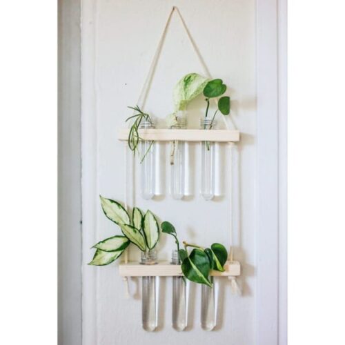 Hanging Planter - Glass Tubes - Wooden - Single Piece Hanging Planter - Glass Tubes - Wooden - Single Piece