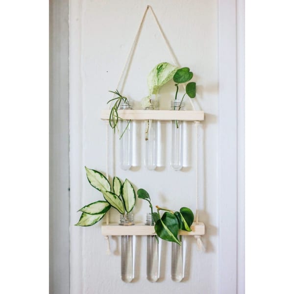 Hanging Planter - Glass Tubes - Wooden - Single Piece Hanging Planter - Glass Tubes - Wooden - Single Piece