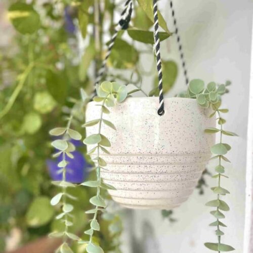 Hanging Planter - Half Ring - White - Single Piece Hanging Planter - Half Ring - White - Single Piece