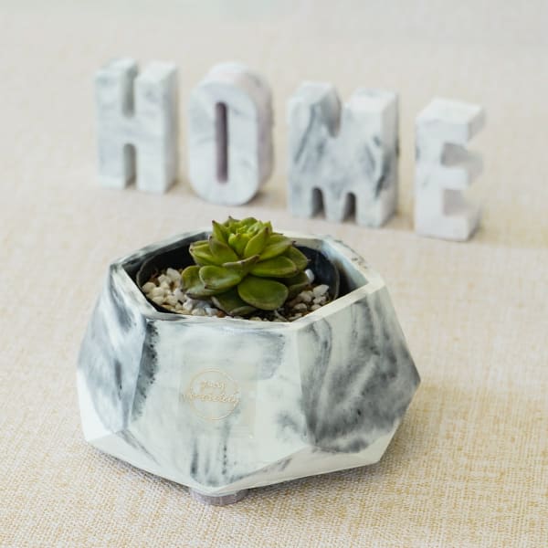 Hexagonal Concrete Planter Hexagonal Concrete Planter