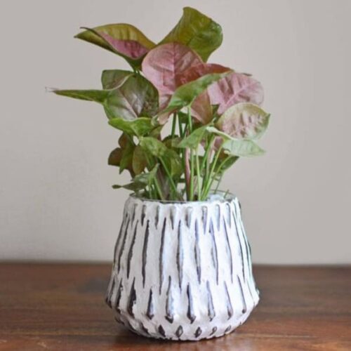 Honeycomb Glass Planter Honeycomb Glass Planter