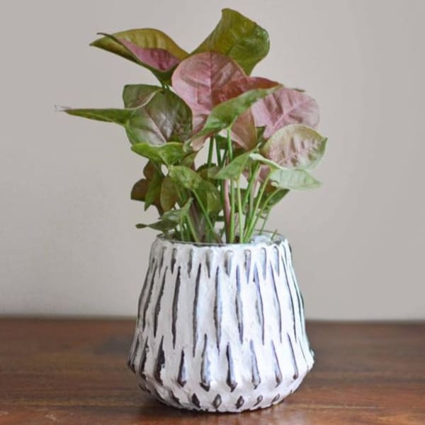 Honeycomb Glass Planter Honeycomb Glass Planter