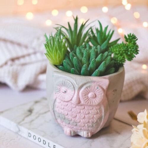 Owl - Concrete Planter And Pen Holder Owl - Concrete Planter And Pen Holder